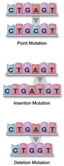 DNA mutations