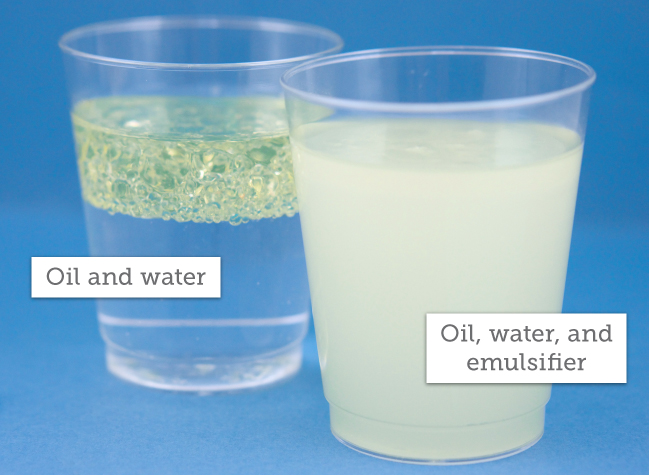 oil water and emulsifier